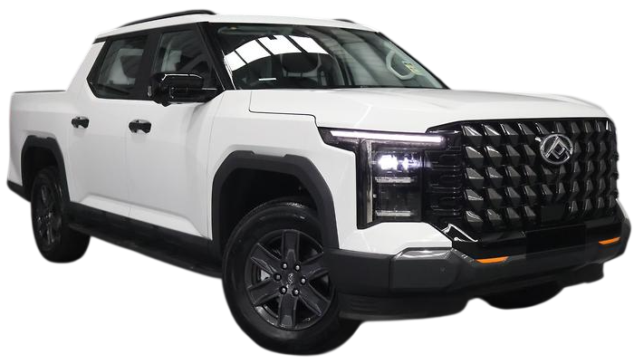 LDV Terron 9 2025-2026